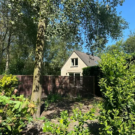 Luxury Long In Villa