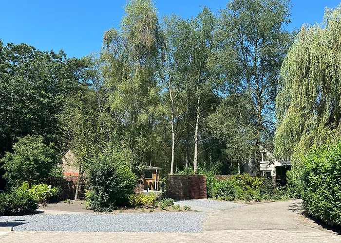 Luxury Long In Villa