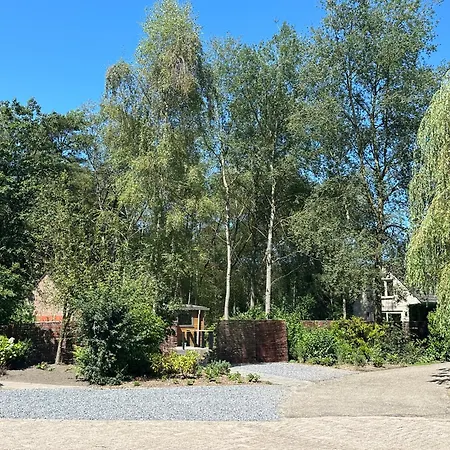 Luxury Long In Villa