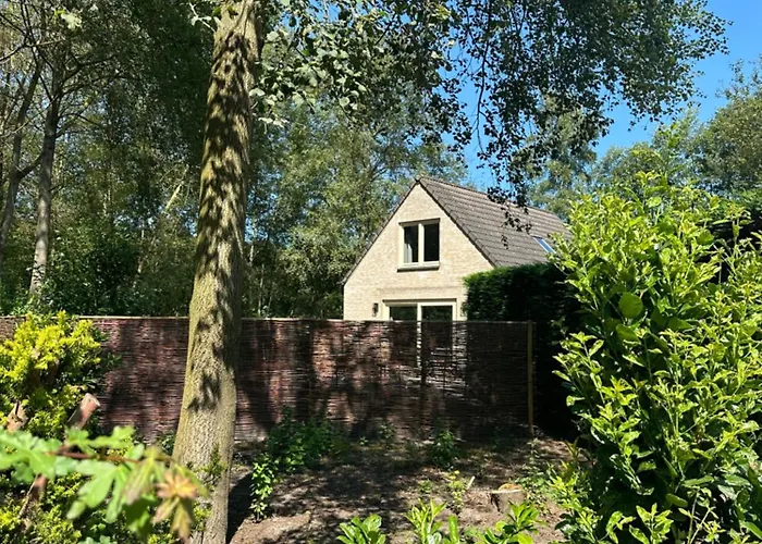 Luxury Long In Villa